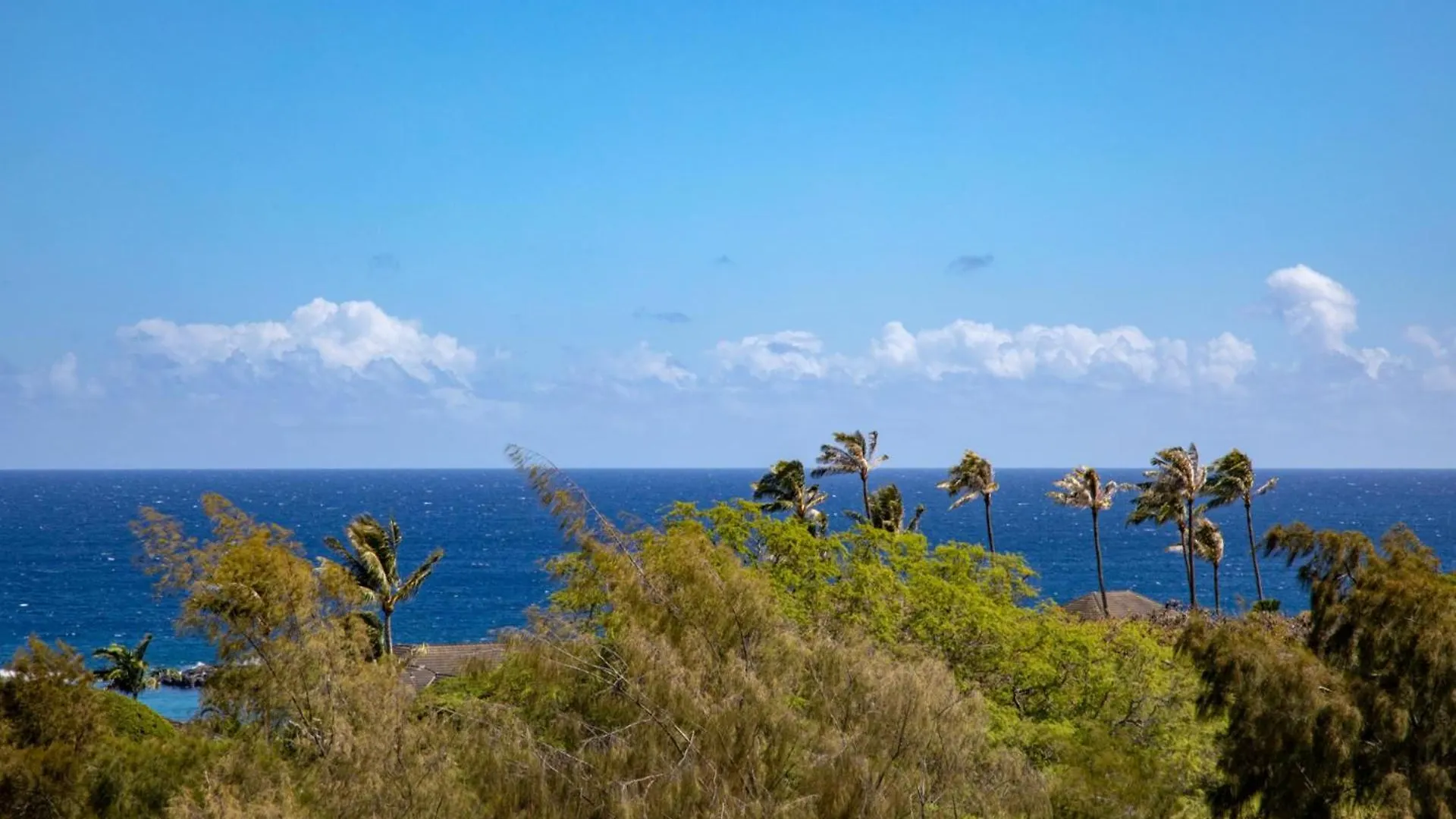 Kbm Resorts Free Car Kapalua Ridge Villas Krv-514 Ocean View Ground Floor